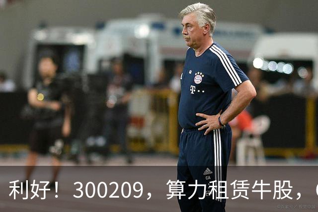 利好！300209，算力租赁牛股，Q3营收大增55倍